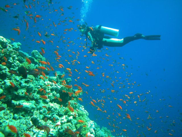 Photograph